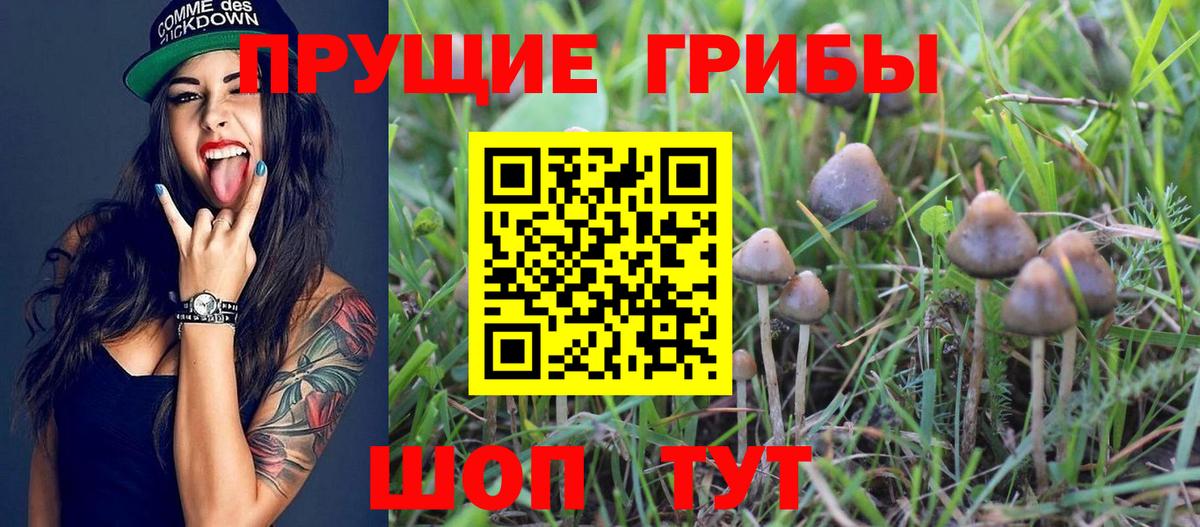 Муравленко  Галлюциногенные грибы Magic Shrooms  Вход с VPN 
